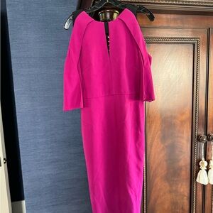 Roland Mouret Pink Sheath Dress with Raglan Sleeves